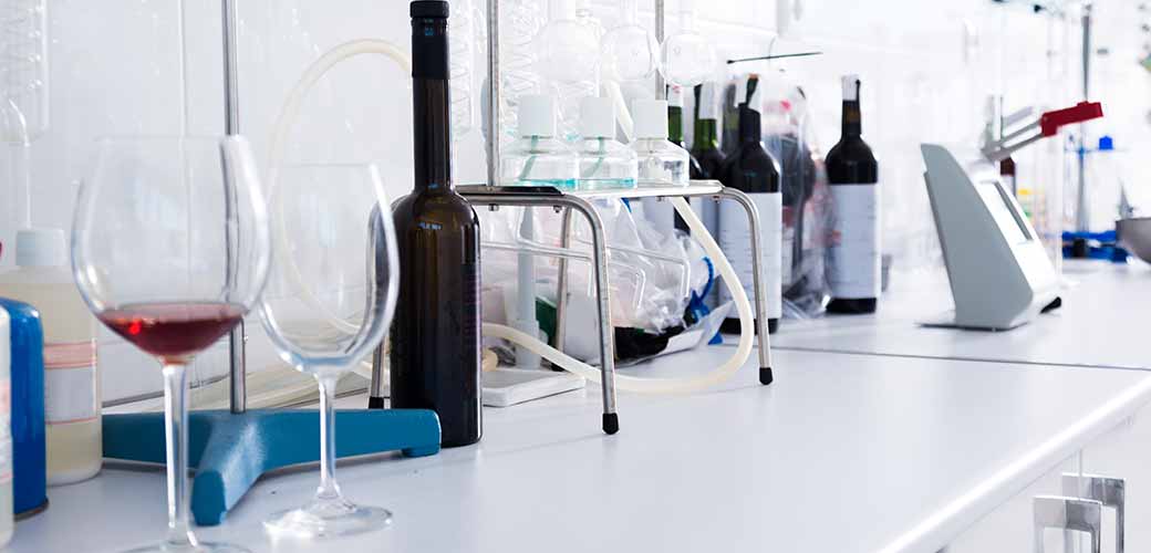 Licence Sciences de la Vigne et du Vin